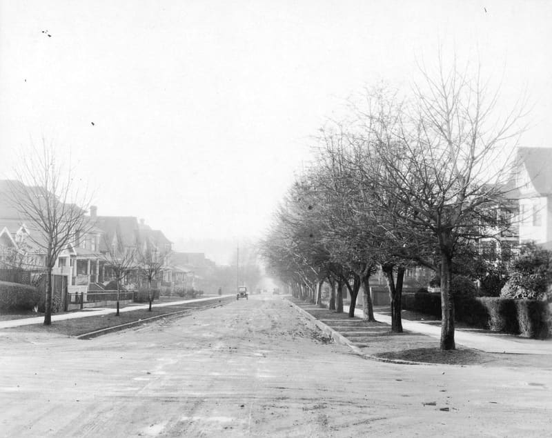 Barclay Street between Jervis and Broughton, under its rows of boulevard trees
