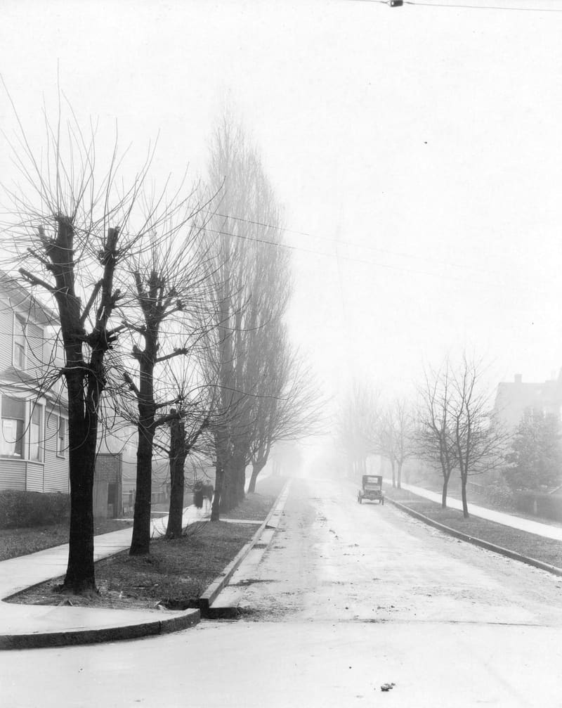 Comox Street looking east from Denman, lined with cut-back boulevard trees