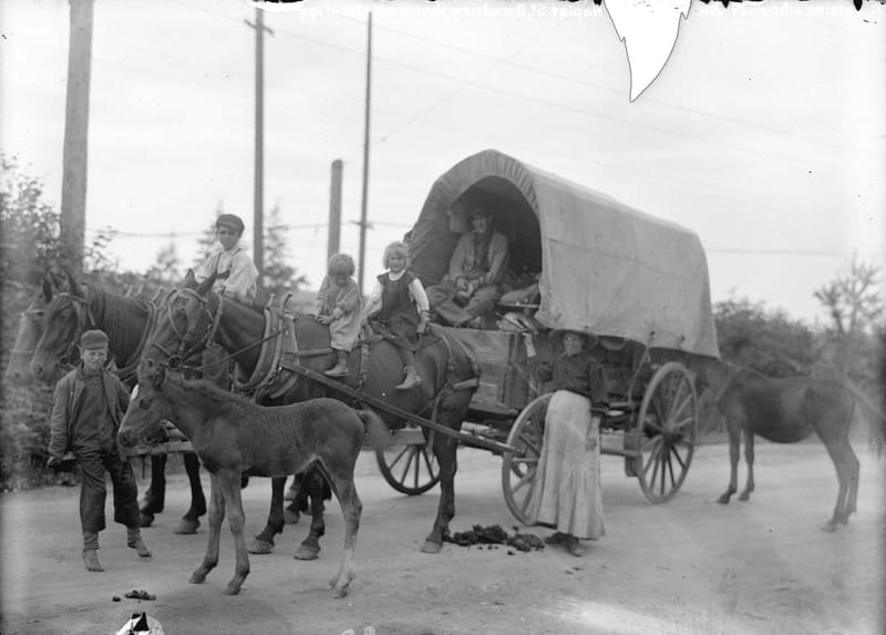 A family with a covered wagon, their horses and a foal on Napier Street