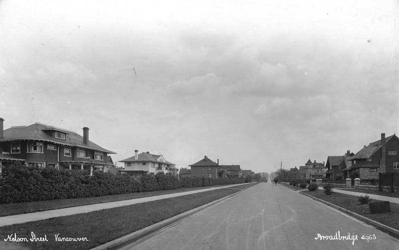Nelson Street, a wide street of houses behind hedges